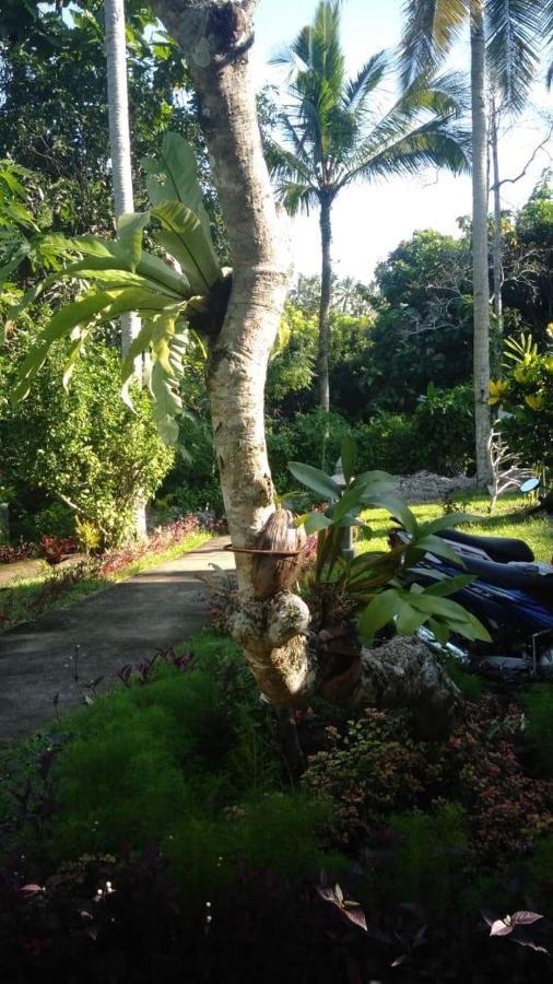 Balian Bliss Retreat Resort - Adults Only Exterior foto
