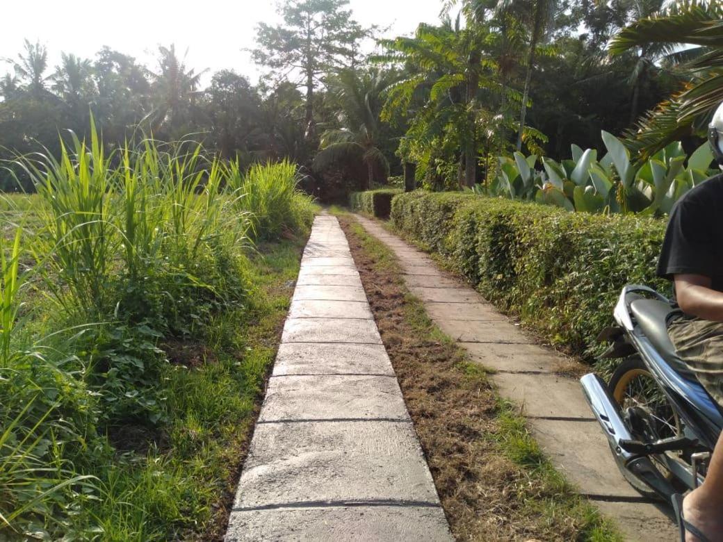 Balian Bliss Retreat Resort - Adults Only Exterior foto