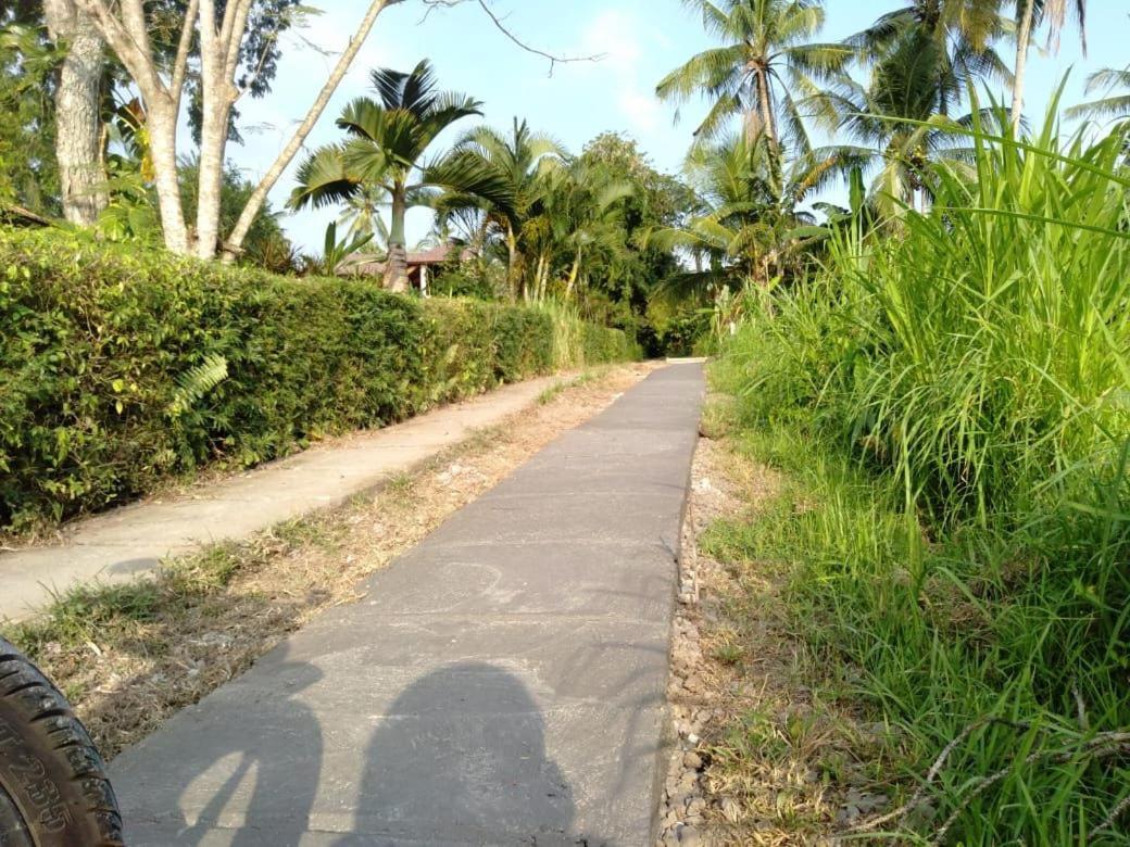 Balian Bliss Retreat Resort - Adults Only Exterior foto